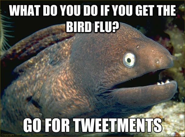 What do you do if you get the bird flu? Go for Tweetments  Bad Joke Eel
