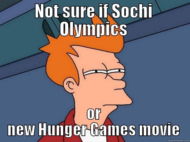 NOT SURE IF SOCHI OLYMPICS OR NEW HUNGER GAMES MOVIE Futurama Fry
