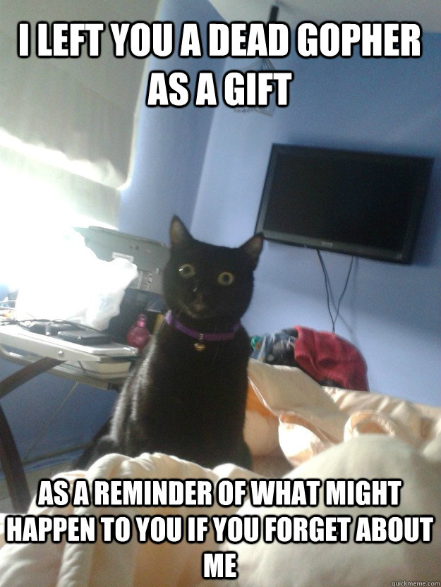 I left you a dead gopher as a gift as a reminder of what might happen to you if you forget about me - I left you a dead gopher as a gift as a reminder of what might happen to you if you forget about me  overly attached cat