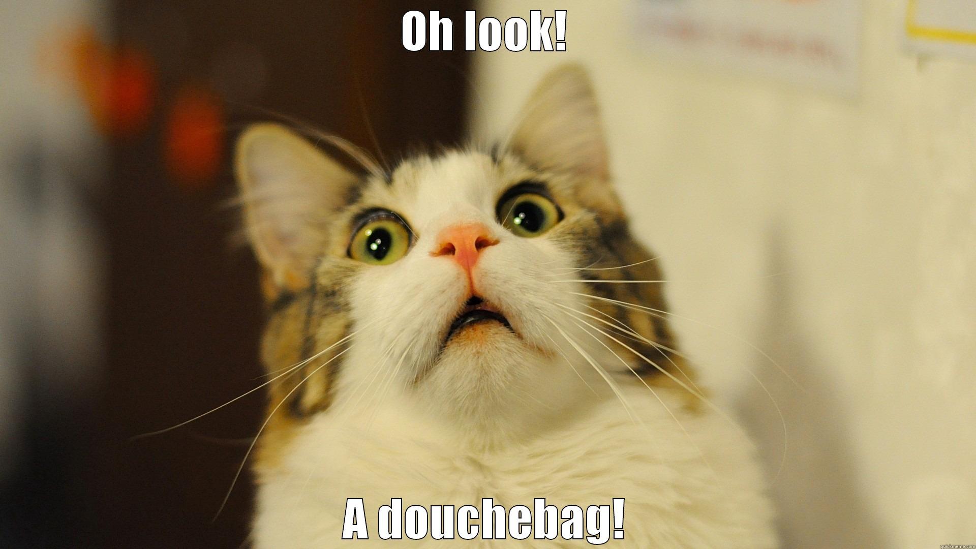 OH LOOK! A DOUCHEBAG! Misc