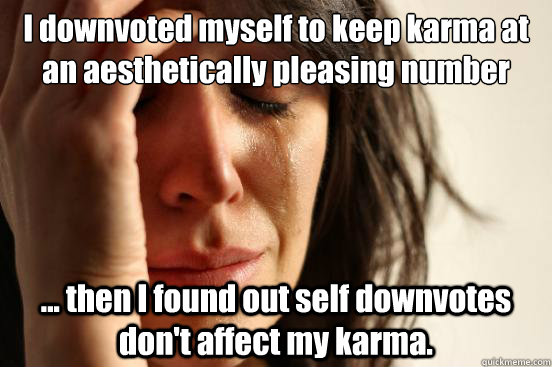 I downvoted myself to keep karma at an aesthetically pleasing number ... then I found out self downvotes don't affect my karma.  First World Problems