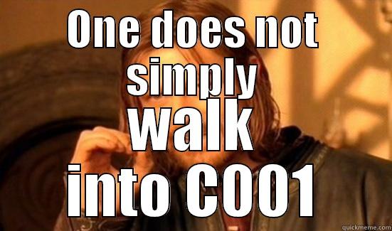 ONE DOES NOT SIMPLY WALK INTO C001 Boromir