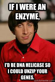 If I were an enzyme, I'd be DNA helicase so I could unzip your genes. - If I were an enzyme, I'd be DNA helicase so I could unzip your genes.  Howard Pick-Up Line
