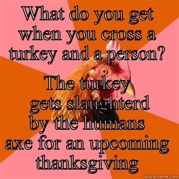 WHAT DO YOU GET WHEN YOU CROSS A TURKEY AND A PERSON? THE TURKEY  GETS SLAUGHTERD BY THE HUMANS AXE FOR AN UPCOMING THANKSGIVING Anti-Joke Chicken
