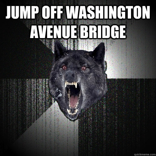 Jump off Washington avenue bridge   Insanity Wolf