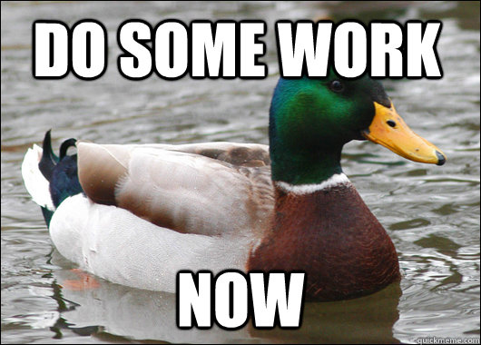 Do some work Now  Actual Advice Mallard