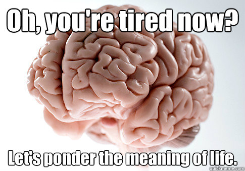 Oh, you're tired now? Let's ponder the meaning of life.  Caption 4 goes here  Scumbag Brain