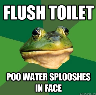 Flush toilet Poo water splooshes in face  Foul Bachelor Frog