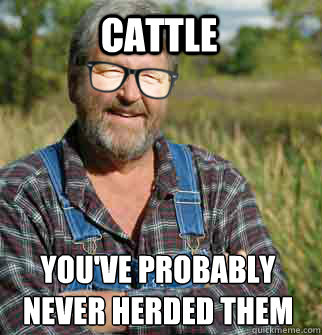 cattle you've probably never herded them before  Hipster Farmer