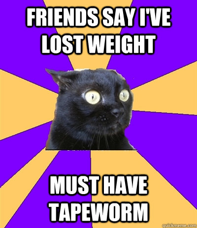 Friends say i've lost weight Must have tapeworm - Friends say i've lost weight Must have tapeworm  Anxiety Cat
