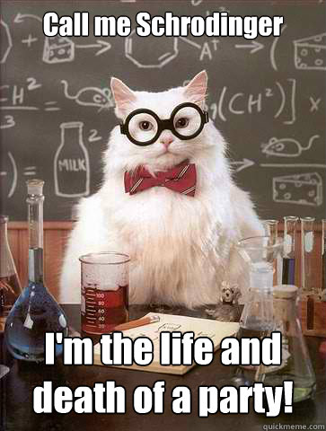 Call me Schrodinger I'm the life and death of a party!  Science Cat