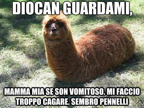 Diocan guardami, sembro una merda pelosa! Mamma mia se son vomitoso. Mi faccio troppo cagare. Sembro pennelli  Alpacapillar