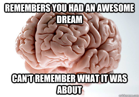 Remembers you had an awesome dream Can't remember what it was about  Scumbag Brain