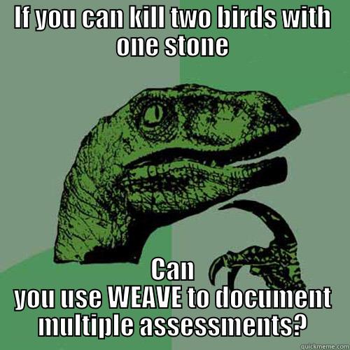 IF YOU CAN KILL TWO BIRDS WITH ONE STONE CAN YOU USE WEAVE TO DOCUMENT MULTIPLE ASSESSMENTS? Philosoraptor