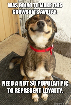 Was going to make this growsom's avatar.  Need a not so popular pic to represent loyalty.   Good Dog Greg