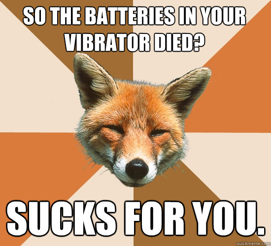 SO THE BATTERIES IN YOUR VIBRATOR DIED? SUCKS FOR YOU.  Condescending Fox