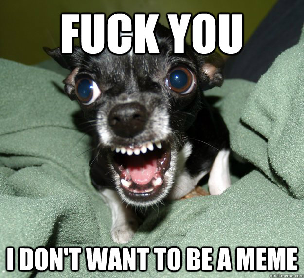 Fuck You I don't want to be a meme - Fuck You I don't want to be a meme  Chihuahua Logic