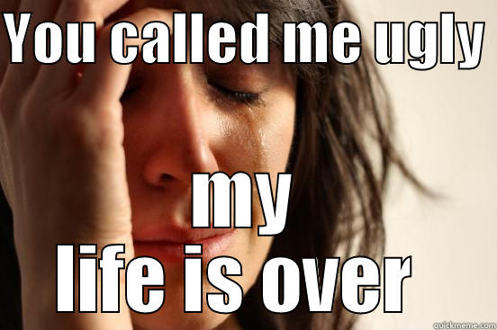YOU CALLED ME UGLY  MY LIFE IS OVER  First World Problems