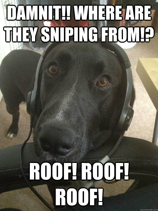 Damnit!! Where are they Sniping from!? Roof! Roof! Roof!  