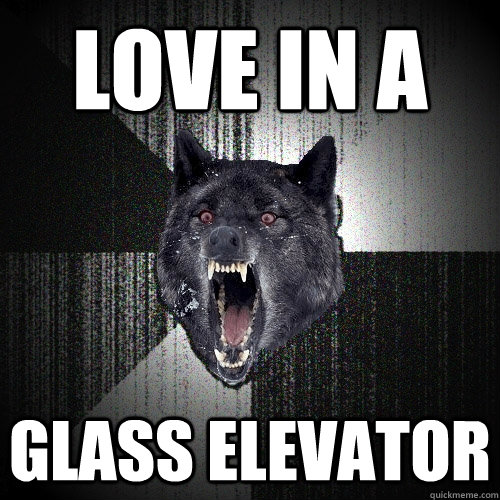 love in a glass elevator  Insanity Wolf