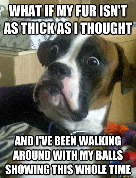 what if my fur isn't as thick as I thought and I've been walking around with my balls showing this whole time  Sudden Realisation Dog