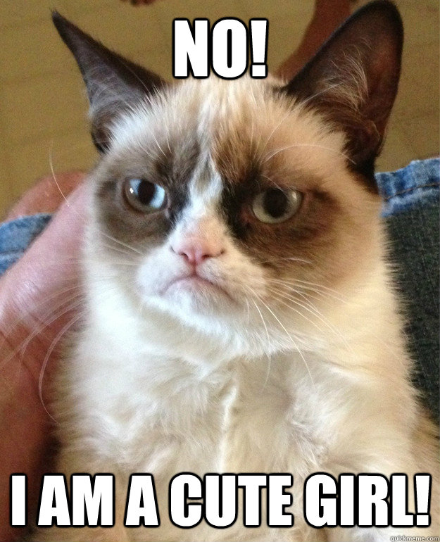 NO! I am a cute girl!  Grumpy Cat
