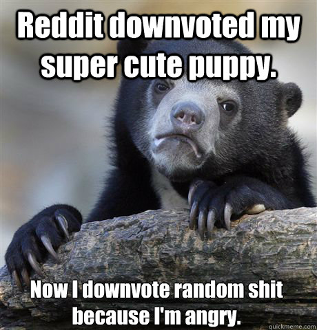 Reddit downvoted my super cute puppy. Now I downvote random shit because I'm angry.  Confession Bear