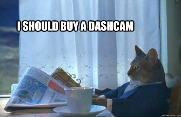 I should buy a dashcam  Sophisticated Cat