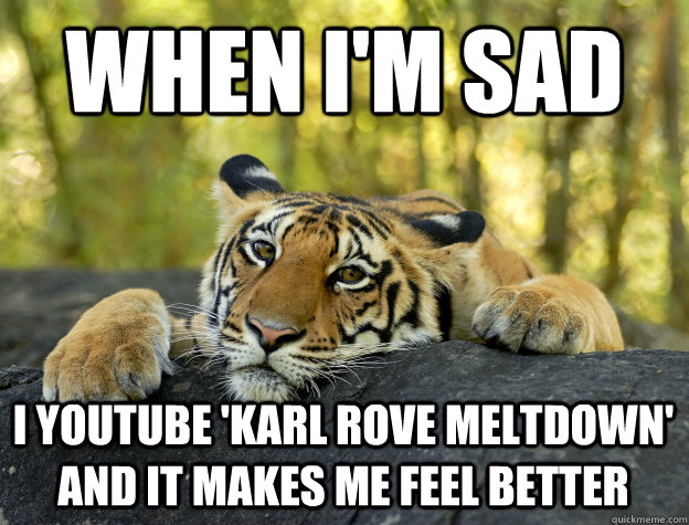 When I'm sad I youtube 'Karl Rove meltdown' and it makes me feel better  Confession Tiger