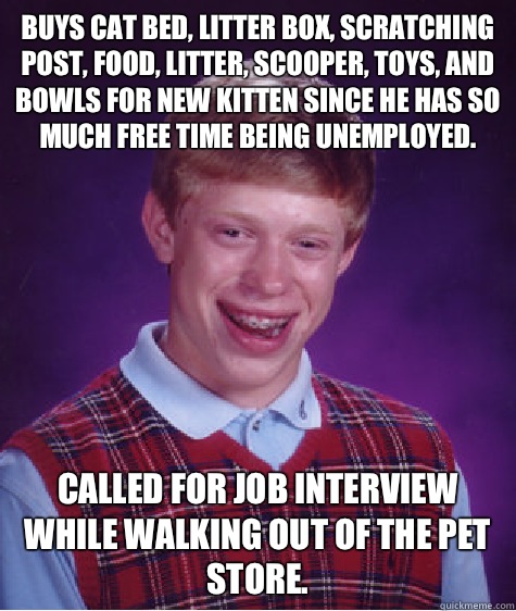 Buys cat bed, litter box, scratching post, food, litter, scooper, toys, and bowls for new kitten since he has so much free time being unemployed.  Called for job interview while walking out of the pet store.   Bad Luck Brian