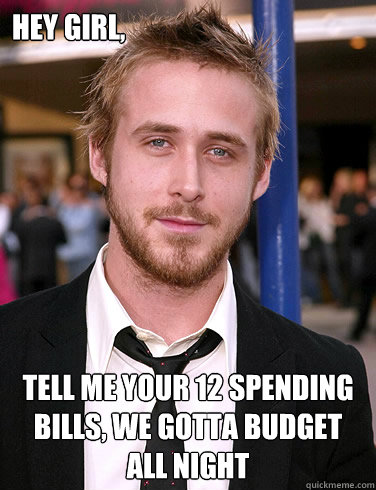 Hey girl, Tell me your 12 spending bills, we gotta budget all night - Hey girl, Tell me your 12 spending bills, we gotta budget all night  Paul Ryan Gosling