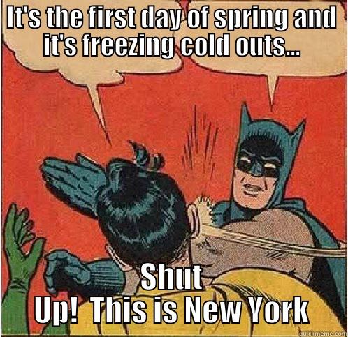 IT'S THE FIRST DAY OF SPRING AND IT'S FREEZING COLD OUTS... SHUT UP!  THIS IS NEW YORK Batman Slapping Robin
