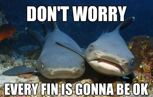 don't worry every fin is gonna be ok  Compassionate Shark Friend