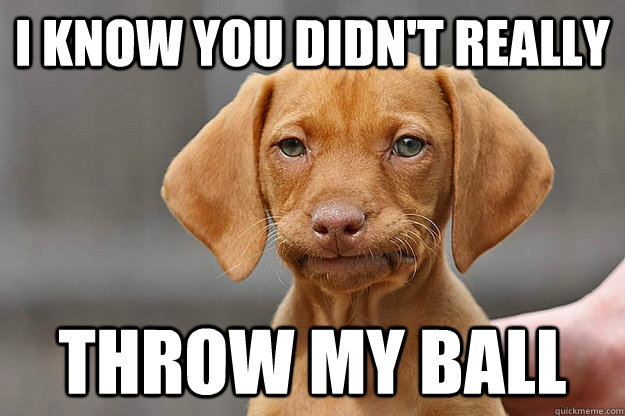 I know you didn't really  throw my ball  