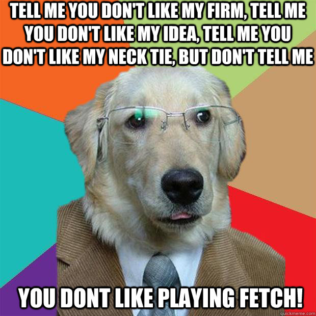 Tell me you don't like my firm, tell me you don't like my idea, tell me you don't like my neck tie, but don't tell me YOU DONT LIKE PLAYING FETCH!  Business Dog