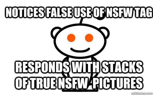 Notices false use of NSFW tag Responds with stacks of true NSFW  pictures  Good Guy Reddit