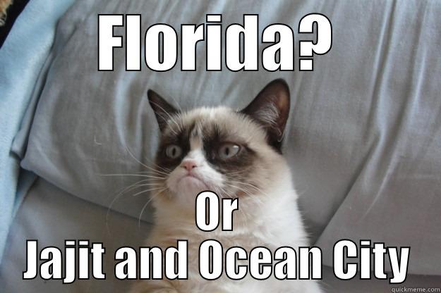 FLORIDA? OR JAJIT AND OCEAN CITY Grumpy Cat