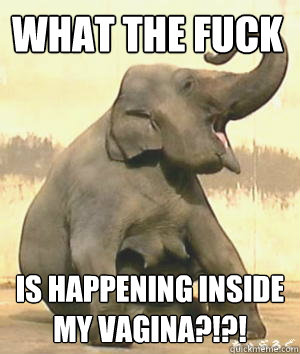What the fuck Is happening inside my vagina?!?! - What the fuck Is happening inside my vagina?!?!  Irrelephant