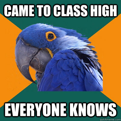 came to class high everyone knows  Paranoid Parrot