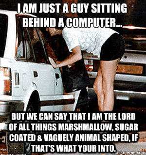 I am just a guy sitting behind a computer... But we can say that I am the lord of all things marshmallow, sugar coated & vaguely animal shaped, if that's what your into.  Karma Whore