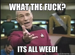 What the fuck? its all weed! - What the fuck? its all weed!  Annoyed picard about shitty watercolor and karmanaut