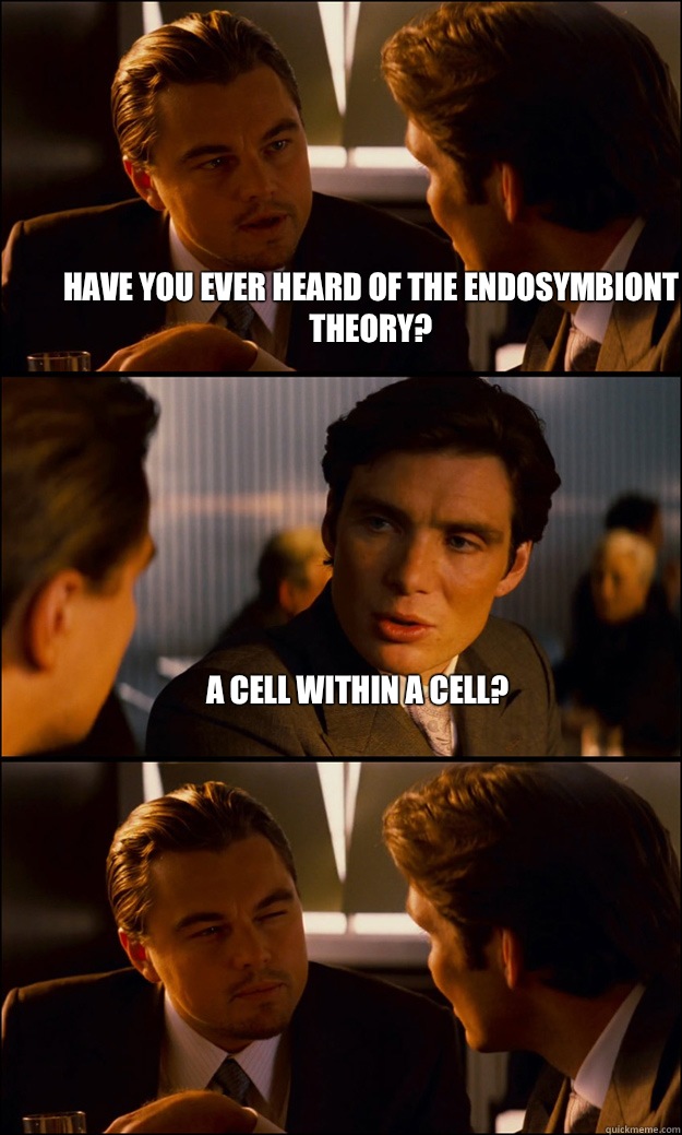 Have you ever heard of the endosymbiont theory? A cell within a cell?   Inception