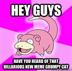 Hey guys Have you heard of that hillarious new meme Grumpy Cat  