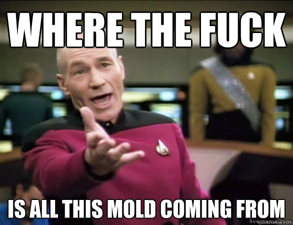 where the fuck is all this mold coming from  Annoyed Picard HD