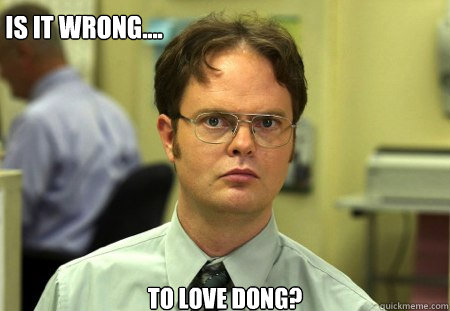Is it wrong.... to love dong?  Schrute