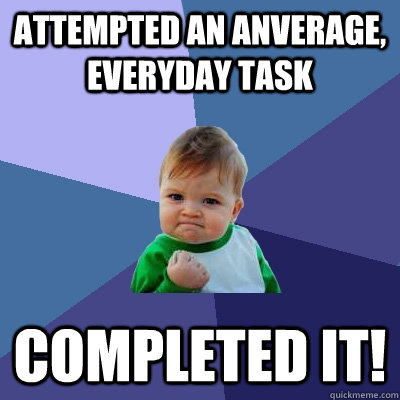 Attempted an anverage, everyday task completed it!  Success Kid