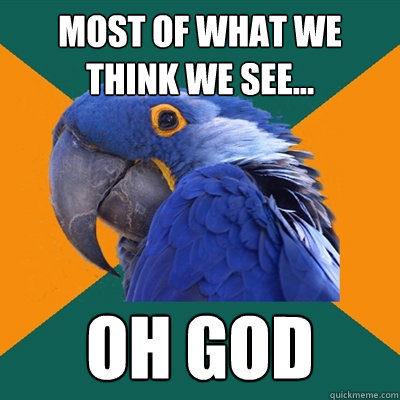 Most of what we think we see... Oh god  Paranoid Parrot
