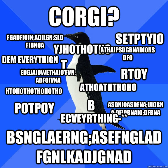 corgi? bsnglaerng;asefngladfgnlkadjgnad fgadfiojn;adilgn;sldfibnqa yjhothotho t htohothothohotho athoaththoho athaipsdgbnadionsdfo b dem everythign asdnioasdfna;uiobna;dfiobnaio;dfbna edgjaiowethaio'fvn;adfoivna setptyio rtoy potpoy ecveyrthing-**  Socially Awkward Penguin