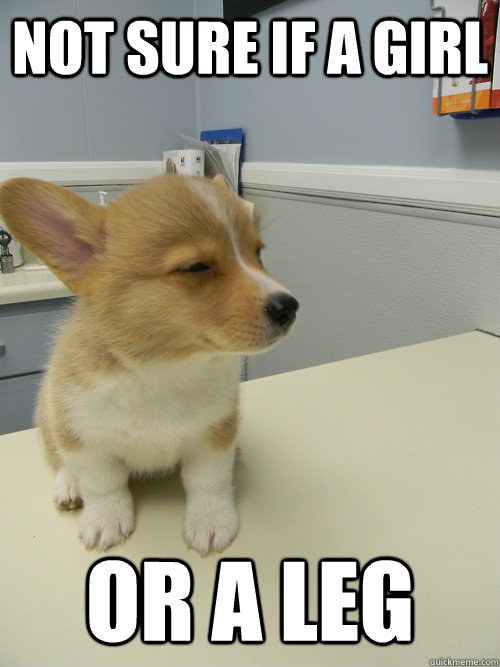 not sure if a girl or a leg - not sure if a girl or a leg  Not Sure Dog