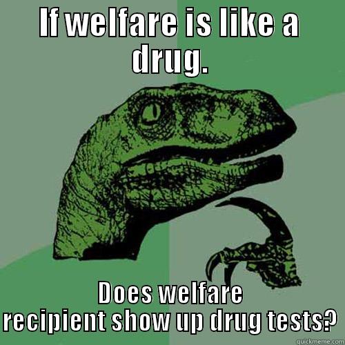 IF WELFARE IS LIKE A DRUG. DOES WELFARE RECIPIENT SHOW UP DRUG TESTS? Philosoraptor